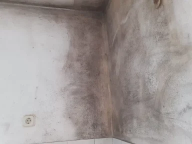 387734556_302971422626862_9017757163461233260_n