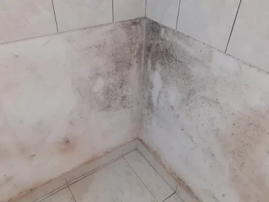 387822666_302971305960207_4059718236950491292_n