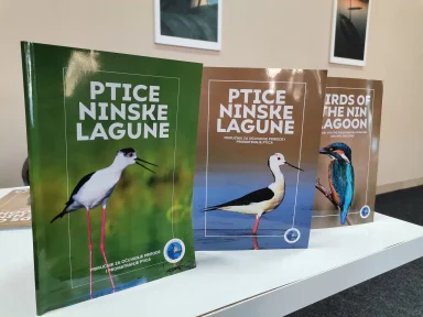 Priručnik Ptice Ninske lagune, 3 izdanja, autorica Ana Glavan