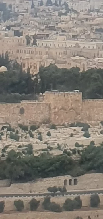 izlet u izrael sanja katusa 11