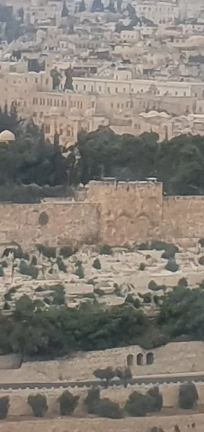 izlet u izrael sanja katusa 11