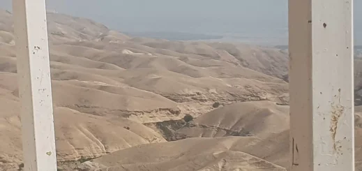 izlet u izrael sanja katusa 8