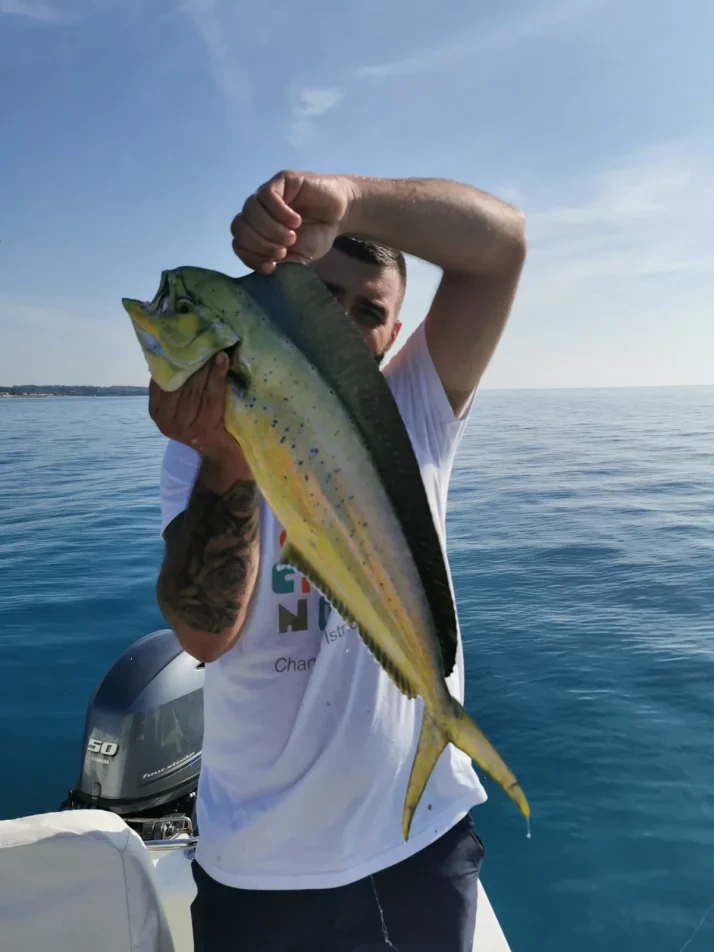 ribolov srd zubatac SP10