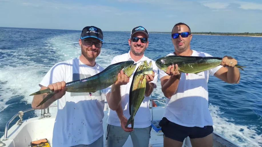 ribolov srd zubatac SP6