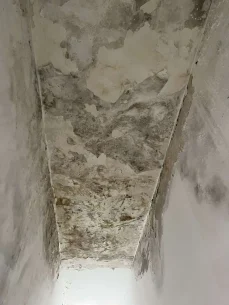 WhatsApp Image 2023-11-22 at 12.17.43