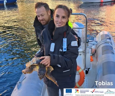 glavata zelva silba1