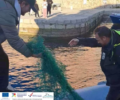 glavata zelva silba7