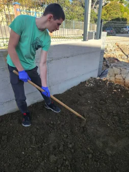 sadnja macuhica ppvs stanka ozanica3