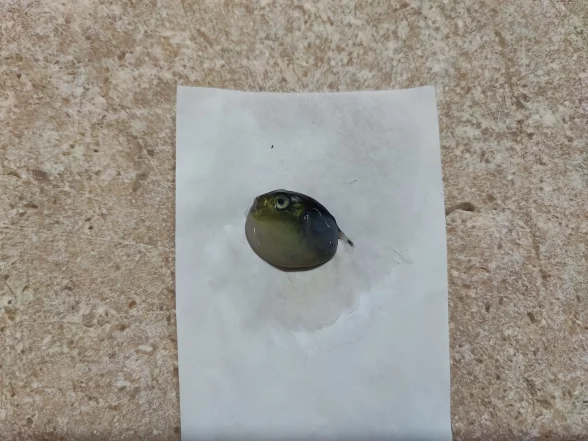 406004399_367585965841662_8406938583715055248_n