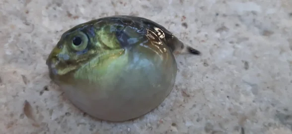 406037612_367585912508334_5942949287433611477_n