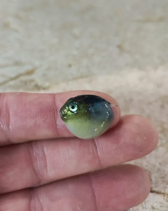 406069942_367585872508338_824600652679987046_n