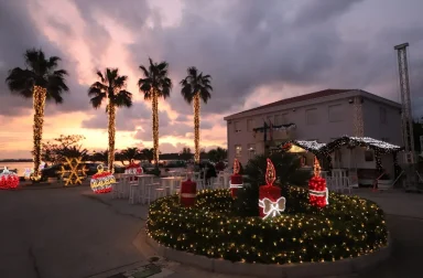 darivanje krvi vir22