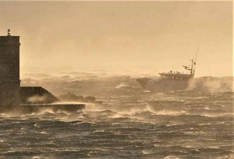 2 w LI RAB-MEDICO 8-1_24