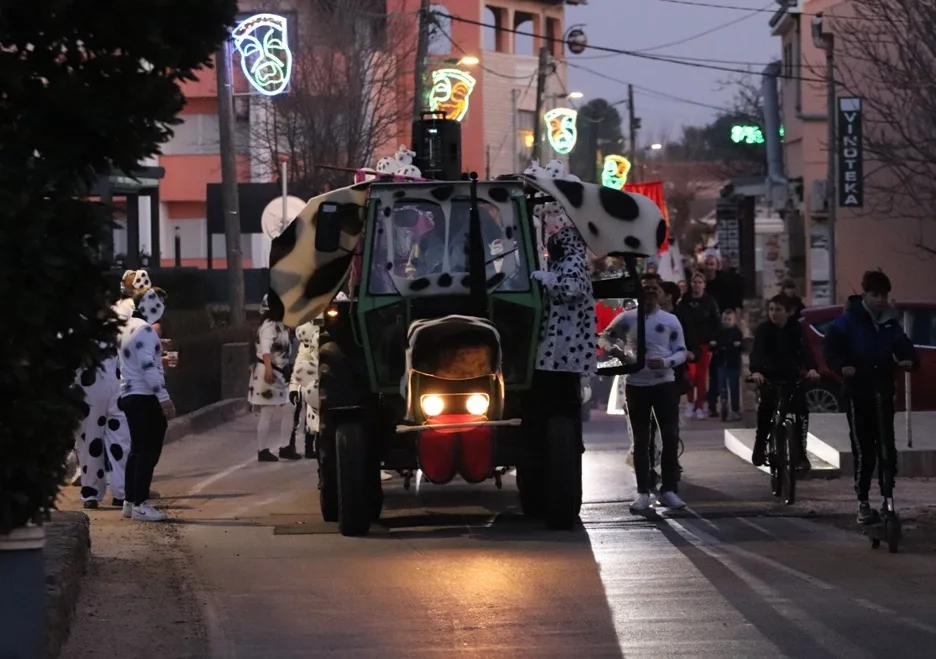 karnevalska povorka vir1