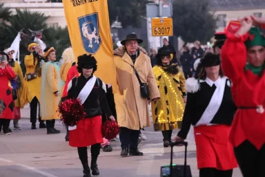 karnevalska povorka vir19