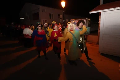 karnevalska povorka vir23