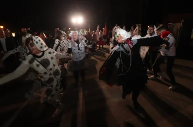 karnevalska povorka vir26