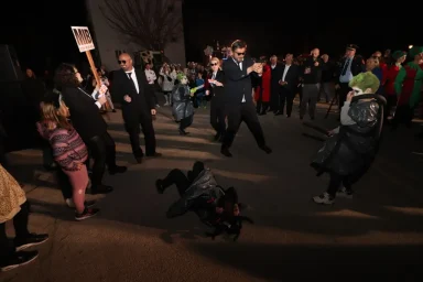 karnevalska povorka vir28