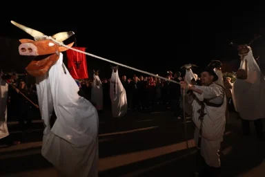 karnevalska povorka vir29