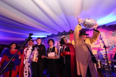 karnevalska povorka vir3