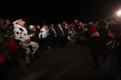 karnevalska povorka vir31