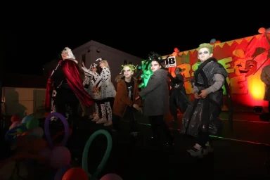 karnevalska povorka vir32