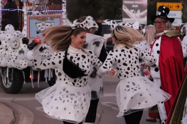 karnevalska povorka vir4