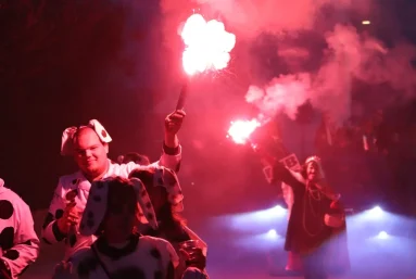 karnevalska povorka vir5