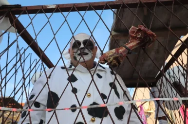 karnevalska povorka vir7