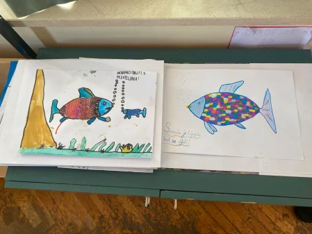 volonterski centar zadar10