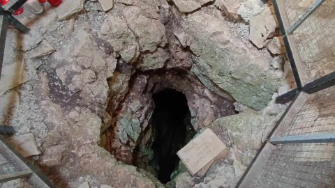 d4434f76-1a84-4d84-b3ed-e0d5d487a562