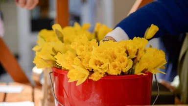 dan-narcisa-FOTO-Linda-Vidovic (8)