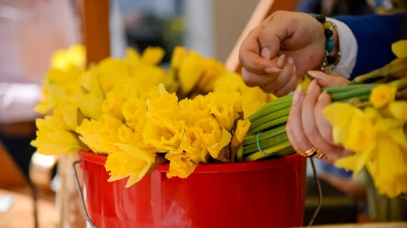 dan-narcisa-FOTO-Linda-Vidovic (9)