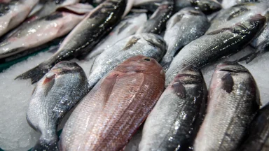 ribarnica-riba-FOTO-Linda-Vidovic (1)