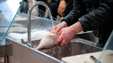 ribarnica-riba-FOTO-Linda-Vidovic (13)