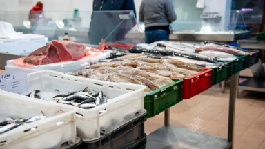 ribarnica-riba-FOTO-Linda-Vidovic (7)