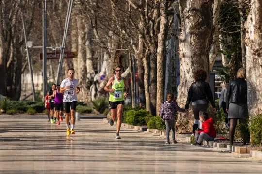 rogovo pikunić birkić 9