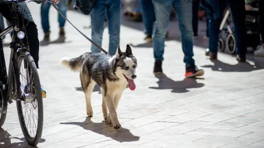 spica-FOTO-Linda-Vidovic (10)