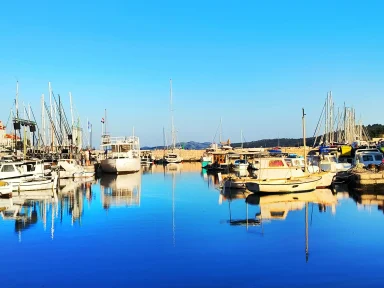 tovareća mužika sali