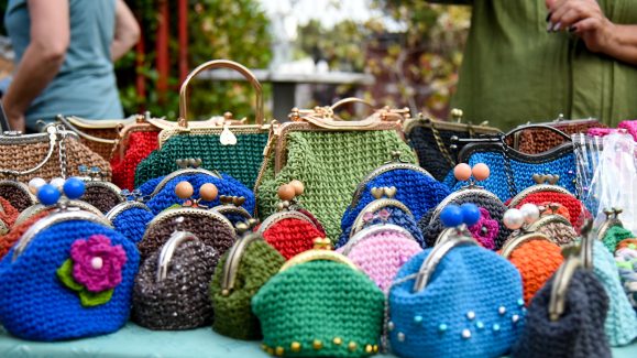 brlog-buvljak-FOTO-Linda-Vidovic-2