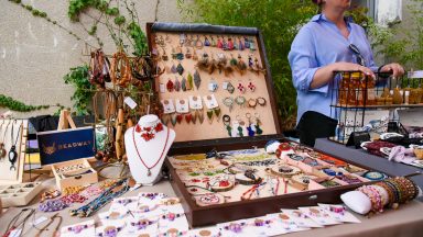 brlog-buvljak-FOTO-Linda-Vidovic-6