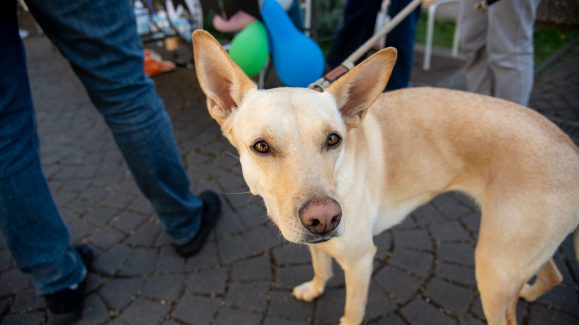 sajam-mogucnosti-FOTO-Linda-Vidovic-31