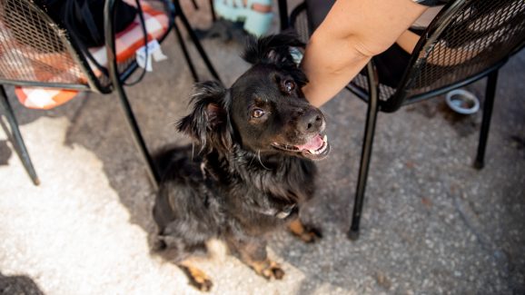 17-brlog-craft-market-FOTO-Linda-Vidovic-22-6-2024-32