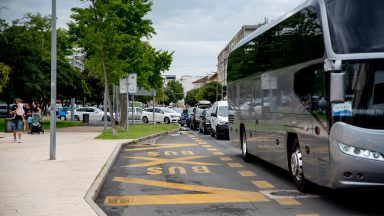 guzva-kolona-jazine-poluotok-FOTO-Linda-Vidovic-26-6-2024-12