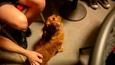 hrvatska-italija-FOTO-Linda-Vidovic-24-6-2024-34