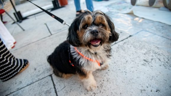 tempus-fugit-arheoloski-muzej-zadar-ilustracija-arhiva-FOTO-Linda-Vidovic-38