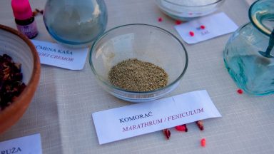 tempus-fugit-arheoloski-muzej-zadar-ilustracija-arhiva-FOTO-Linda-Vidovic-6