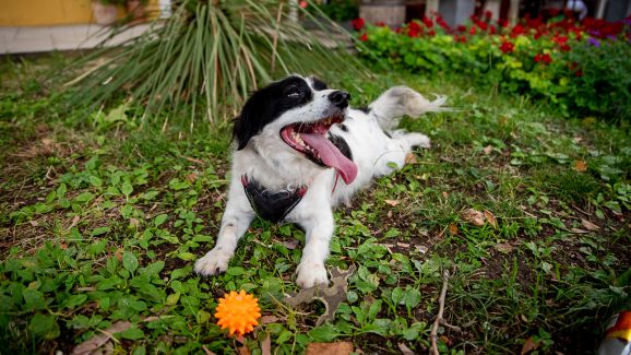 urbofon-live-The-Alibor-Rich-Man-Triggers-FOTO-Linda-Vidovic-21-6-2024-2