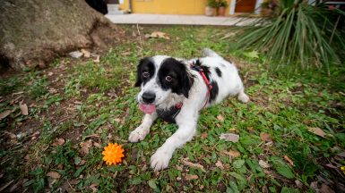 urbofon-live-The-Alibor-Rich-Man-Triggers-FOTO-Linda-Vidovic-21-6-2024-36