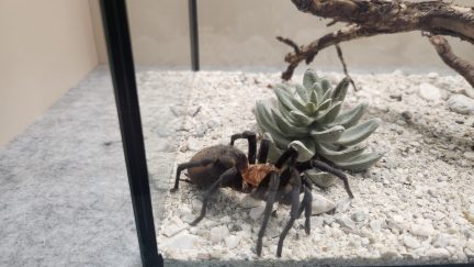 85a5190d-ae64-4cd7-9864-3ccf02ab63ce